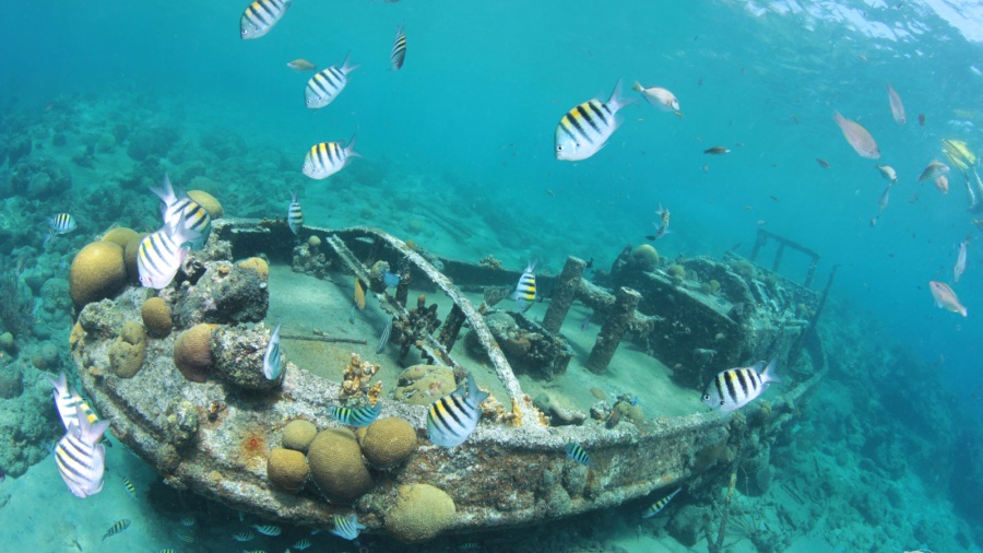 Tugboat Curacao